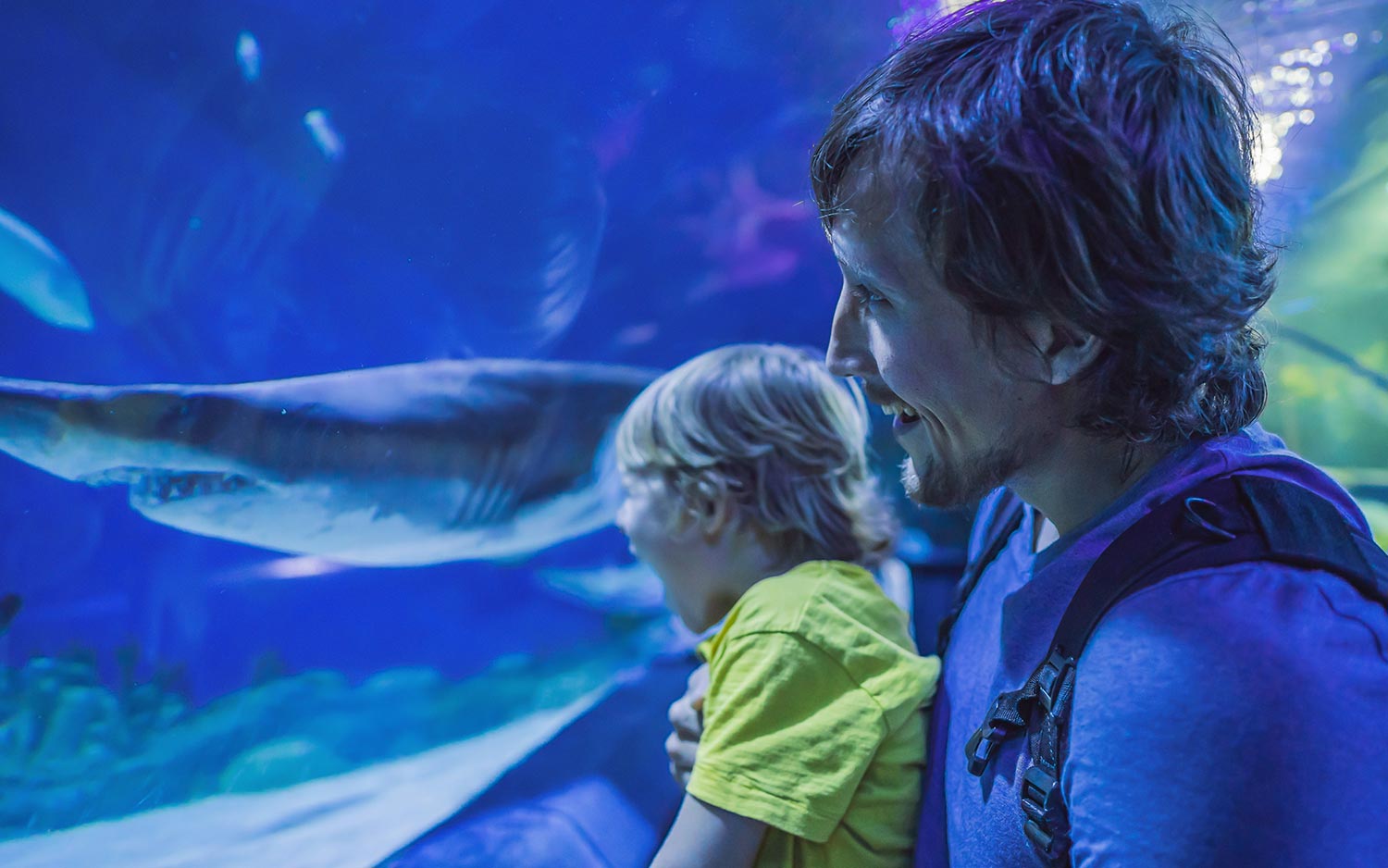 dad and son at the aquarium for a blog about fun things to do in depoe bay