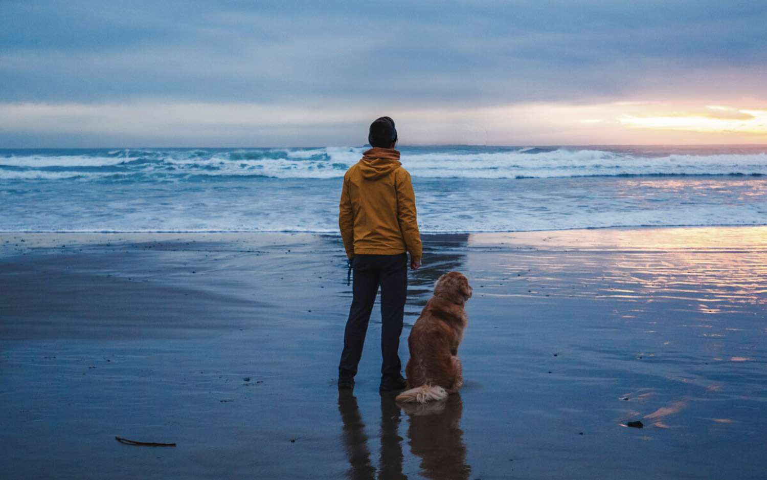 man and his dog facing the ocean at sunset for a blog about Fall Activities in Depoe Bay